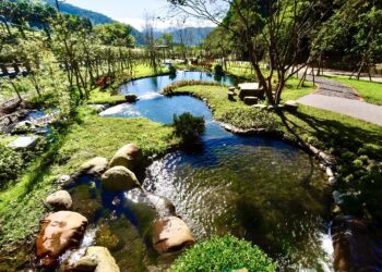 宜蘭賞櫻勝地燈篙林道新亮點　雙湖社區櫸山水水環廊道獲金質獎殊榮