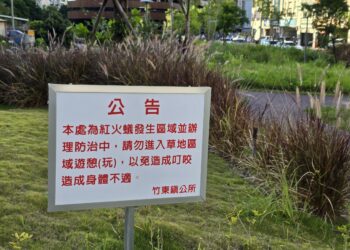 防治紅火蟻 竹東鎮公所嚴陣以待