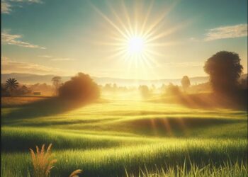 5個中風常見症狀與立即急救方法