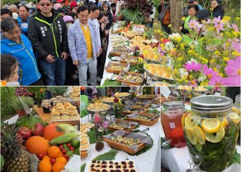 影音∕人文與自然交織的身心靈盛會 引人歡聚四十甲共享大地之美