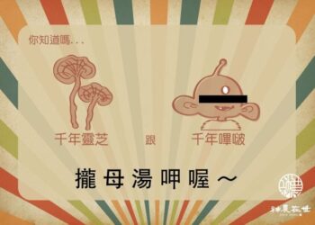 千年靈芝真的有那麼神嗎?