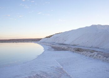 5個海鹽中的海洋塑膠微粒真相：你需要知道的健康警示